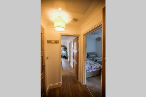 Apartamento *alban Court *comfy Suite *