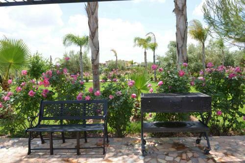 Hostal Paix & Palmiers