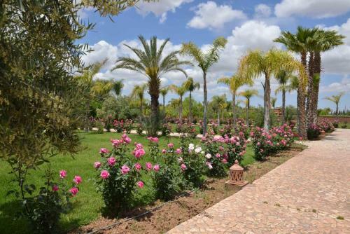 Hostal Paix & Palmiers