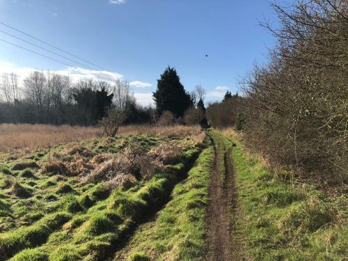 Secluded Getaway In Beautiful Norfolk Village