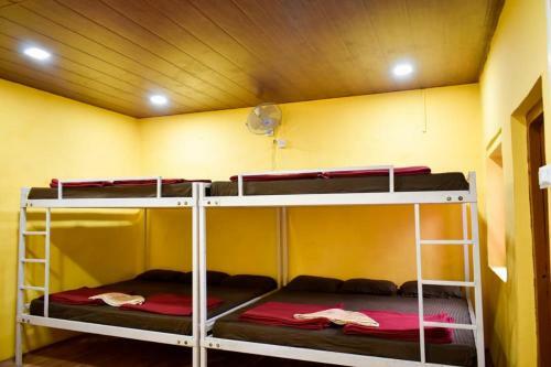 Tiger Camp Jungle Homestay