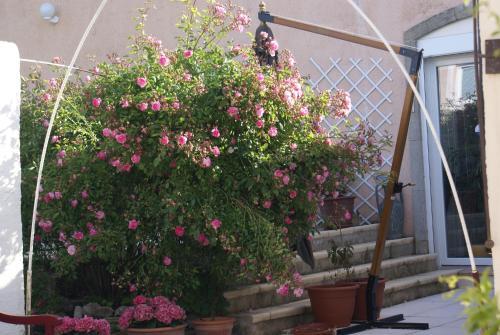 Bed & Breakfast Les Romarins