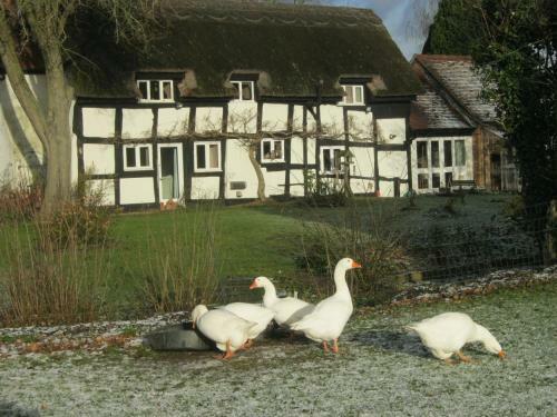 Bed & Breakfast The Moats - Ledbury
