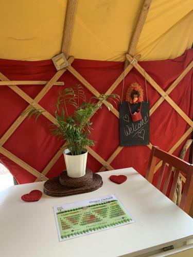 Agroturismo Dragon Orchard Retreat