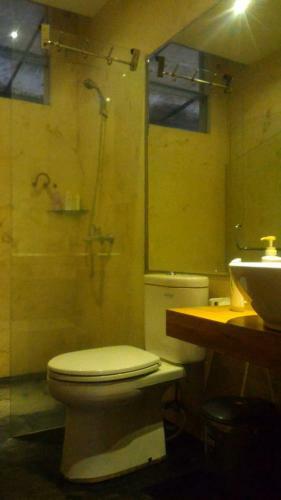 Hostal Ronia Mountain Villa Lembang