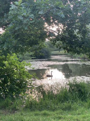 Wensum Glamping
