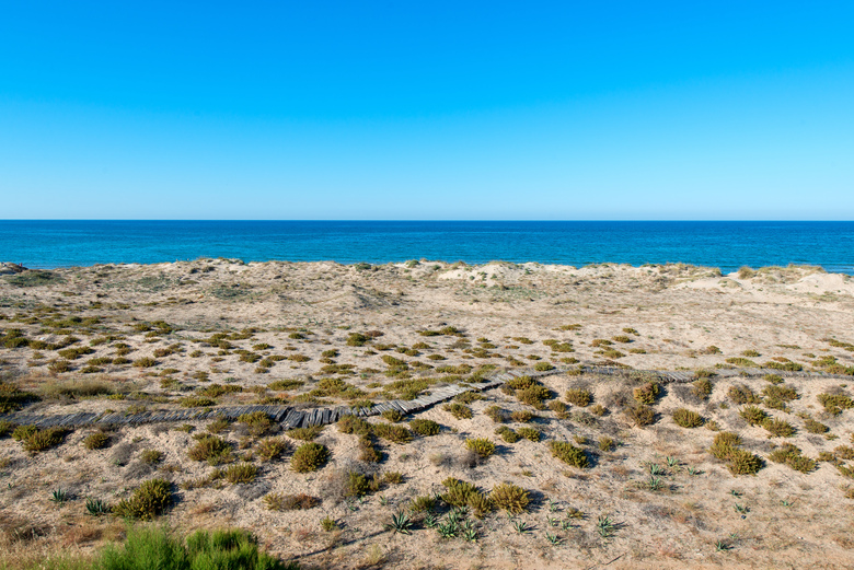 Oliva Nova Golf Beach & Golf Hotel