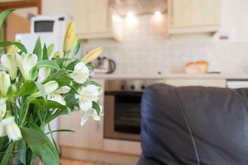 Mynydd Cottage