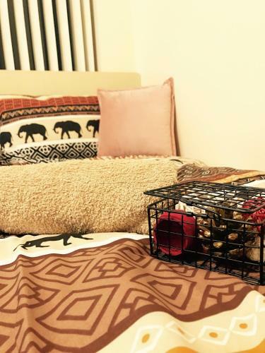 Hostal Renshaw Guest House