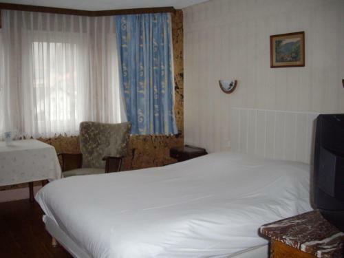 Hotel H�tel Des Vosges