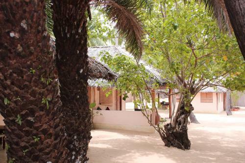 Hotel Cocodance Kitesurfing Resort