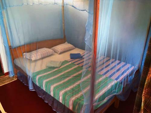 Albergue Tropi Turtle Guesthouse