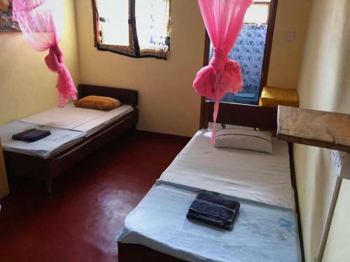 Albergue Tropi Turtle Guesthouse