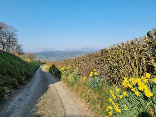 Snowdonia Get-away With Breathtaking Mountain Views