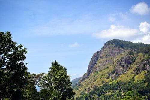 Bed & Breakfast Raveena Guest House