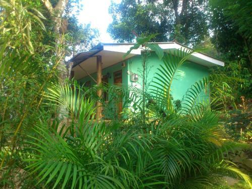 Bed & Breakfast Aurora Holiday Bungalow