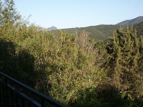 Apartamento Pruniccia