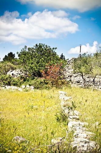 B&B Parco Alta Murgia