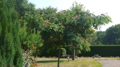 Bed & Breakfast Chambres D'hotes Les Sageais