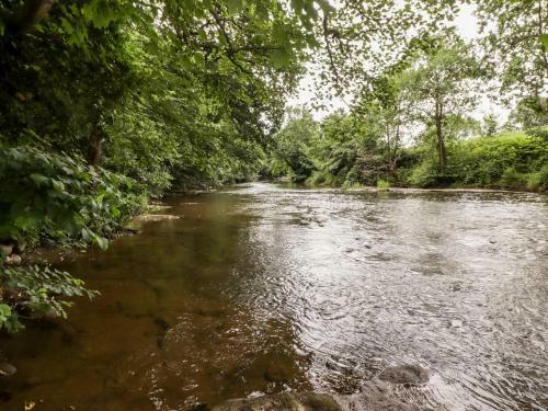 Ashford Mill