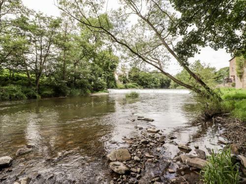 Ashford Mill