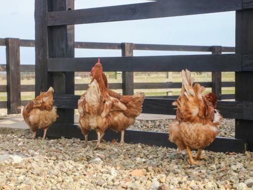 Hartswood Farm