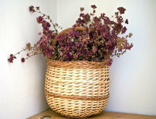 Bed & Breakfast La Bribaudonni�re