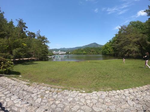 Apartamentos Benidaruma - Usagi