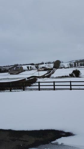 Agroturismo Holly Cottage Mayobridge