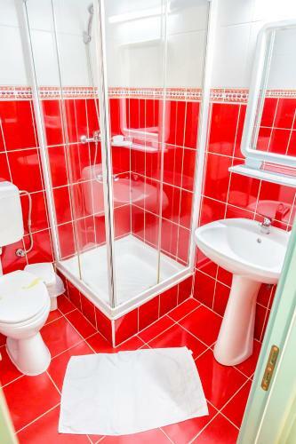 Hostal Pension Floare De Colti