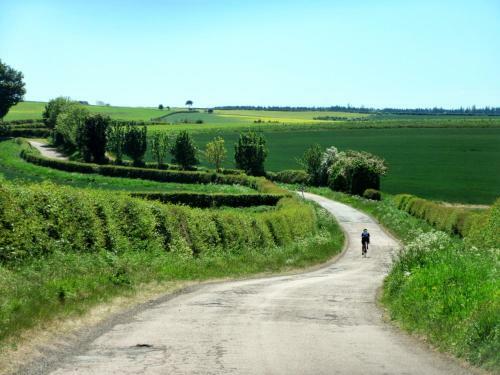 Bed & Breakfast Norham Bike Yard
