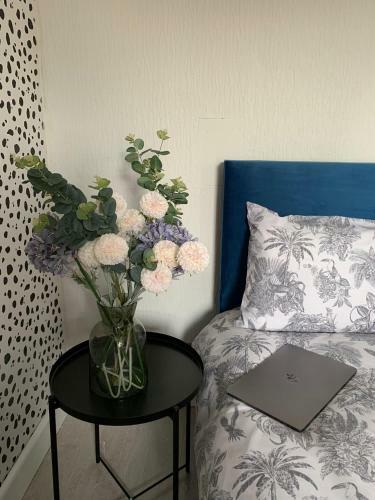 House Of Cosy Dots