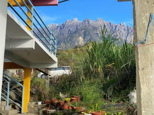 Bed & Breakfast Kupi-kupi & Stay