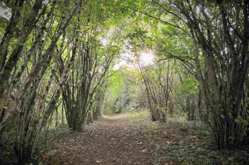 Apartamento Authentic Mongolian Yurt