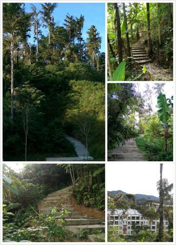 Apartamentos Strawberry Homestay