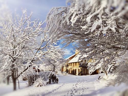 Hostal Chambre D'h�tes La Grange Des Ecrins