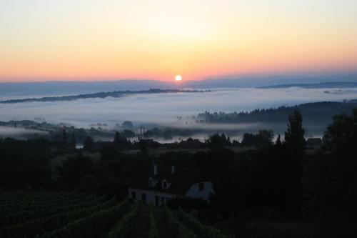 Bed & Breakfast Domaine Du Fontenay