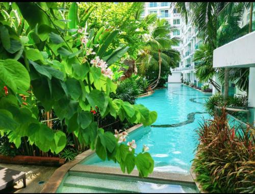 Apartamento Amazon Rainforest