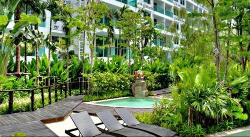 Apartamento Amazon Rainforest