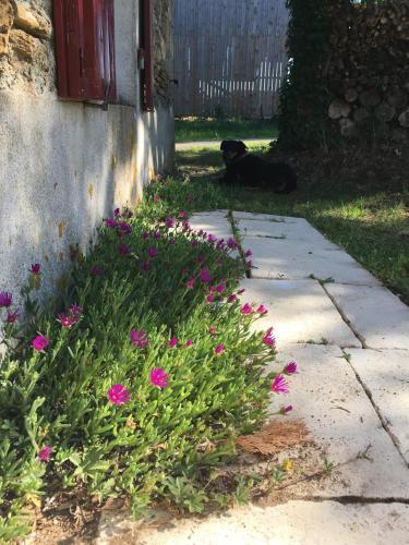 Hostal Chambre D'h�tes Chantonnay