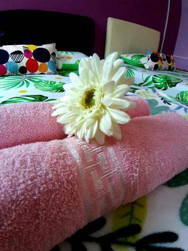 E&a Homestay Klia/ Sepang/ Nilai