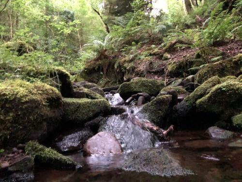 Norton Views By Afan Valley Escapes