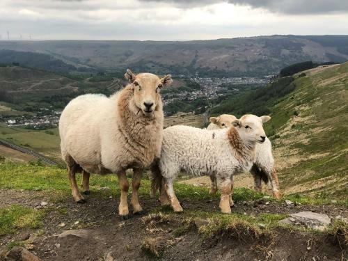 Norton Views By Afan Valley Escapes