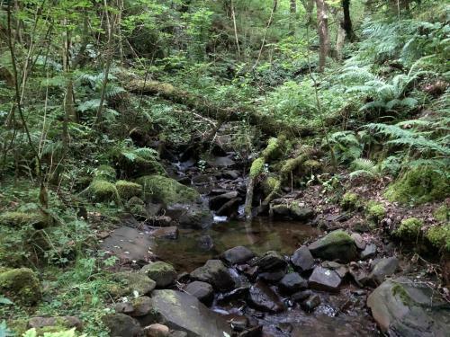 River View By Afan Valley Escapes