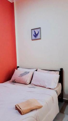 Mnoor Homestay