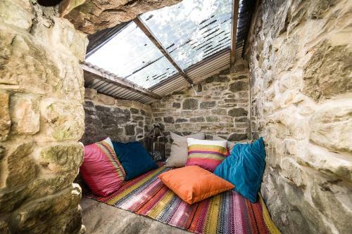 Shellbraes Studio