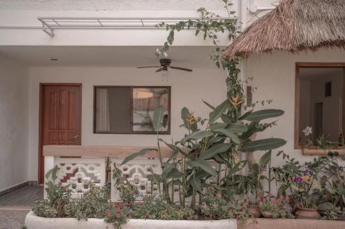 Alisa Garden Boutique Hotel