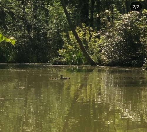 Apartamento Bluebells