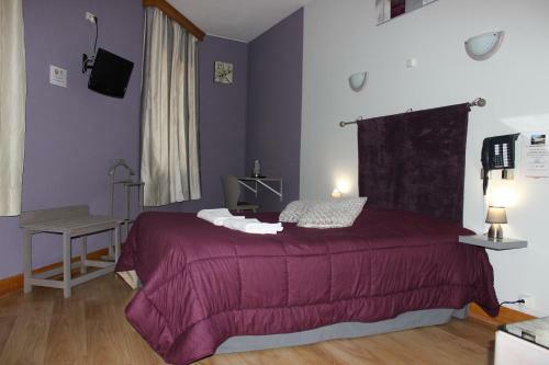 Hotel H�tel Des Alli�s