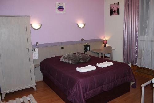 Hotel H�tel Des Alli�s